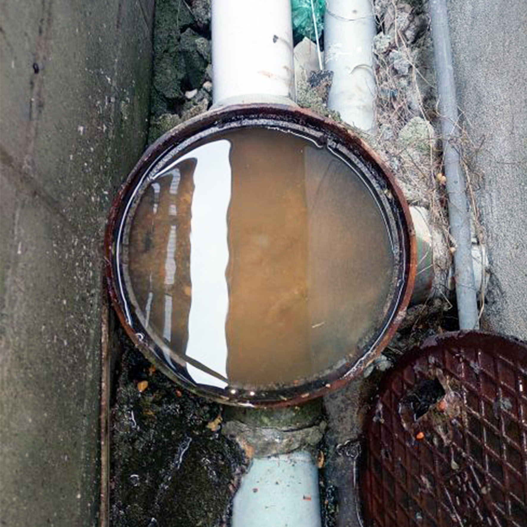 作業前：トイレ排水管のつまりにより汚水が溜まった排水桝