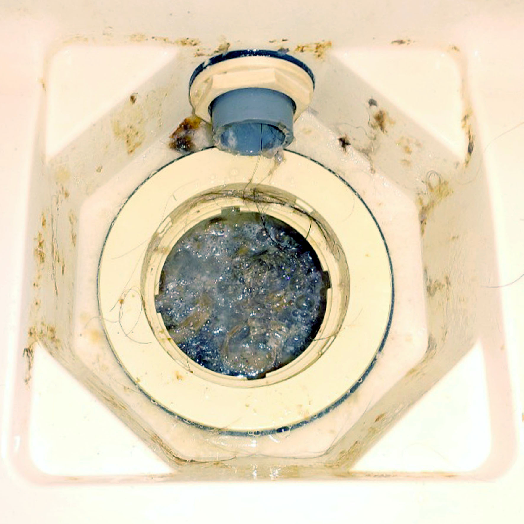 作業前：髪の毛や石けんカスが蓄積した浴室排水口のつまり