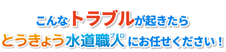 こんなトラブルが起きたらとうきょう水道職人にお任せください！