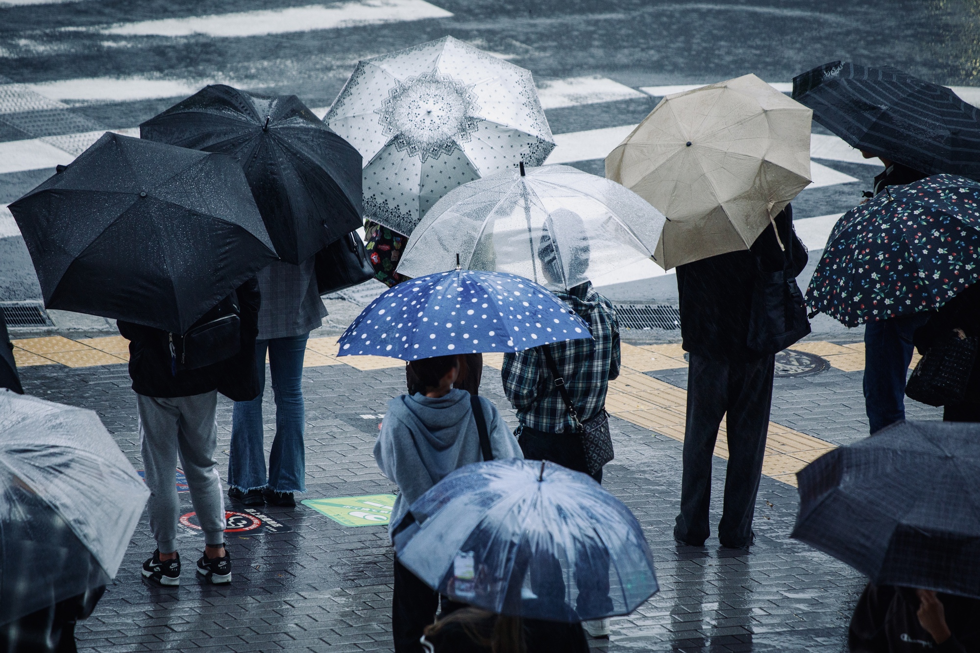 何が基準？レベル3大雨警報の基準を知って水まわり被害に備える方法【水道職人：公式】